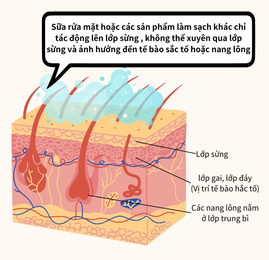 sữa rửa mặt q&a