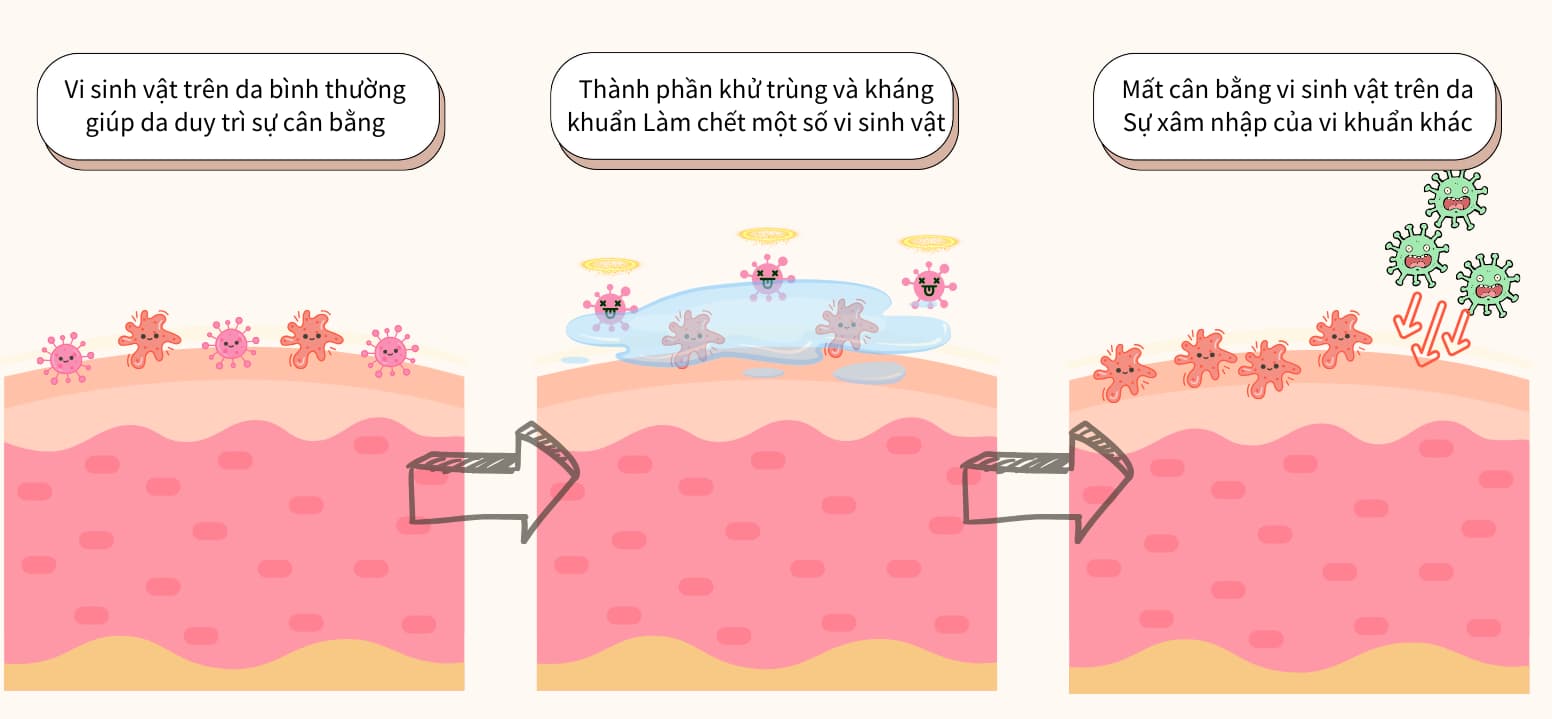 sữa rửa mặt q&a