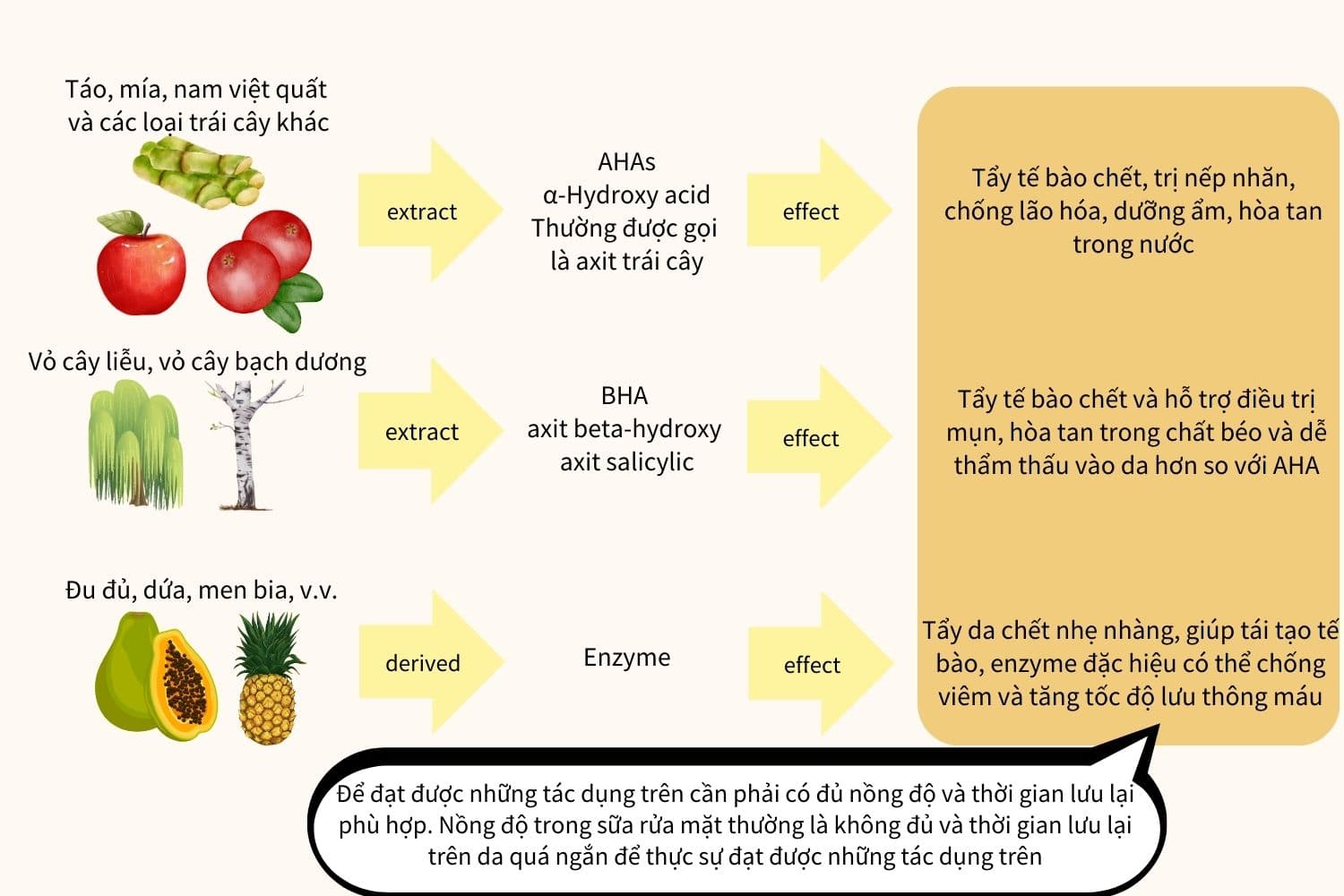 sữa rửa mặt q&a